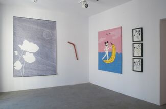 Spring Show, installation view