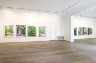 The Arrival of Spring, installation view