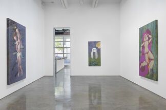 Jim Shaw: Only Wanted You to Love Me, installation view