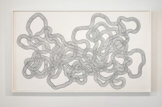 Tara Donovan: Slinkys, installation view
