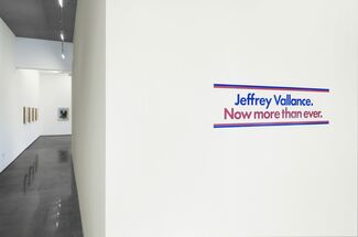 Jeffrey Vallance: Now More Than Ever, installation view