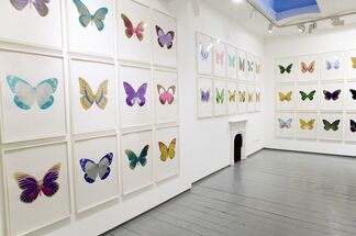 Damien Hirst - The Souls, installation view