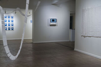 Sarah Irvin: A Group of Related Things, installation view