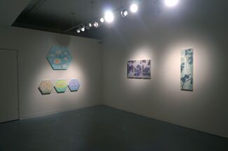 Jin Sil Kim, Victoria Loschuk, Hung Viet Nguyen Group Exhibit, installation view
