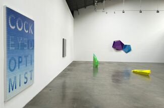 Rachel Lachowicz, installation view