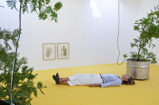 Brutal Family Roots, installation view