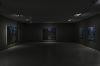 Lee Kwang-Ho, installation view