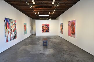 Marty Schnapf: Fissures in the Fold, installation view