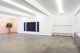 The Line of Beauty, installation view