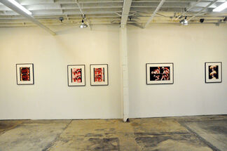 INDICTED: New Work by Lawrence Brose, installation view
