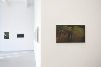 In a Landscape: Ina van Zyl, installation view