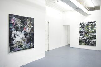 CROSSING THE LINE - Anthony Keith Giannini, installation view