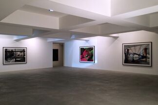 Carlos Carvalho- Arte Contemporanea at Photo London 2020, installation view