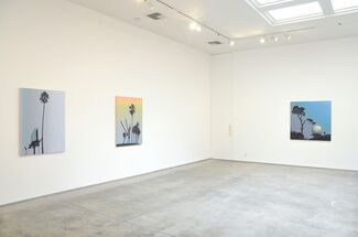 Glen Rubsamen: The Disguise Was Almost Perfect, installation view