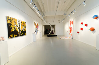 From Venice to Miami, installation view