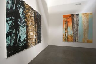 Nabil Nahas - Palms and Stars, installation view