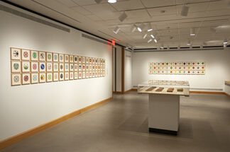 Allentown Art Museum | Color & Complexity: 30 Years at Durham Press, installation view