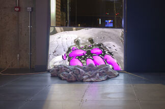 Virtual Beings, installation view