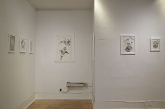 Petals & Paws: An Exhibition by Emiko Woods & Marissa Quinn, installation view