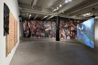 Rodney McMillian: The Black Show, installation view