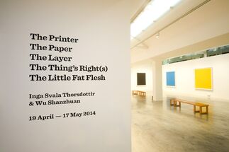 Wu Shanzhuan & Inga Svala Thorsdottir: The Printer/The Paper/The Layer/The Thing's Right(s)/The Little Fat Flesh, installation view