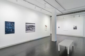 Subduction, installation view