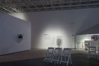 Double Life, installation view
