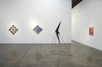 Observations in Nature by Abdul Mazid, installation view