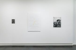 Subduction, installation view