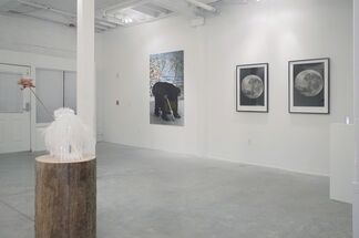 Woander // Raina Belleau, Shamus Clisset, Maria Molteni, Andrea Wolf, installation view