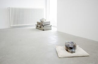 Sofie Muller "Ithaca", installation view