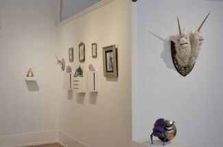 Beasts of the Unknown, installation view