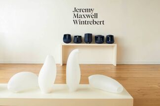 Jeremy Maxwell Wintrebert, installation view