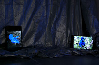 Blue - extended, installation view