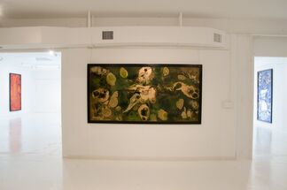 Cuban Art Revolution, installation view