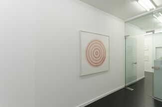 REFLEX II: The Brain Closer Than the Eye, installation view