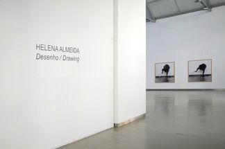 Drawing, installation view