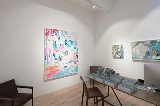 Tim Braden: Looking and Painting, installation view