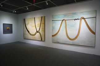 Self-Sustained, Artworks by Zhang Enli, installation view