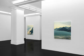 Natural Selections, installation view