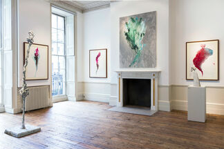 Equinox by Alessandro Twombly, installation view