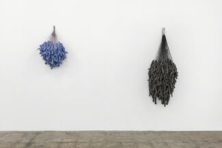 Clippings and Hard Fruit, installation view