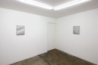 Devin Farrand, Felled Forms, installation view
