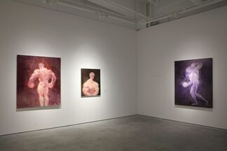 Form Consumption Over Substance Reflection, installation view
