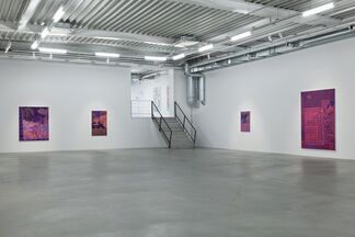 John McAllister 'Riot Rose Summery', installation view