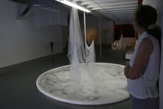 Wonder - Lula Motra, installation view