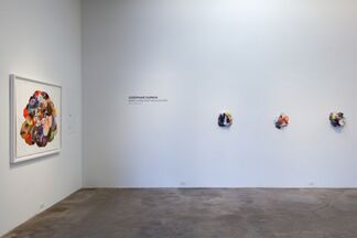 Josephine Durkin: Maps, Flora and Highlighters, installation view
