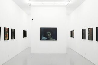 Approximate Joy, installation view