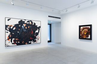 Kazuo Shiraga, installation view