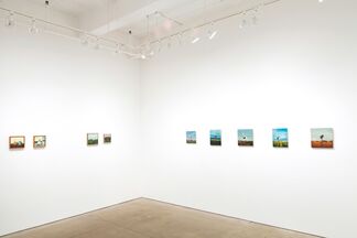 Robert Rasely: Houses and Birds, installation view
